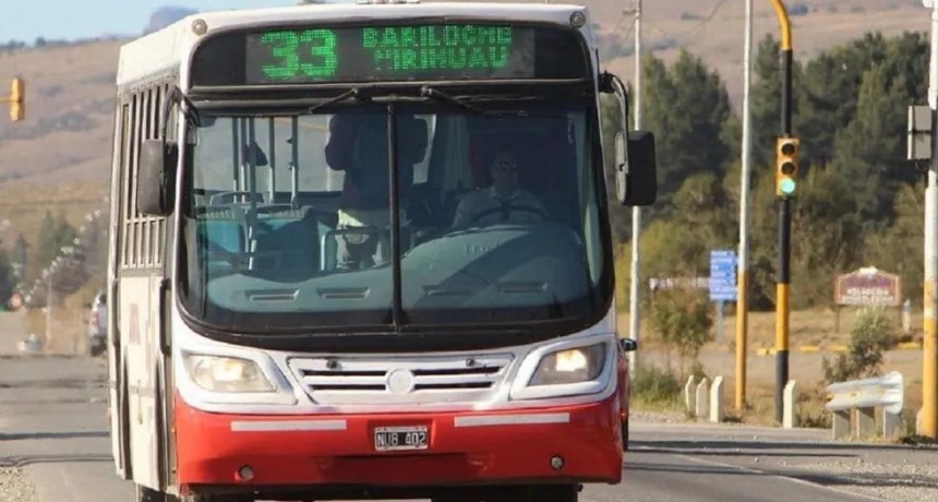 Cómo funcionará la Línea 33 con la empresa Mi Bus