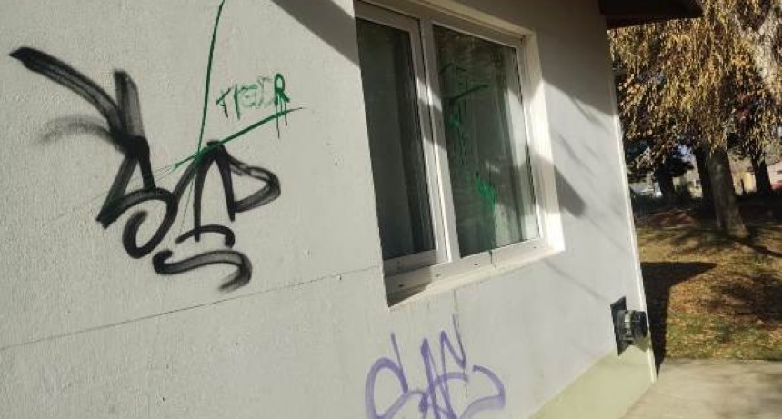 Vandalizaron varios edificios públicos, autos y viviendas particulares