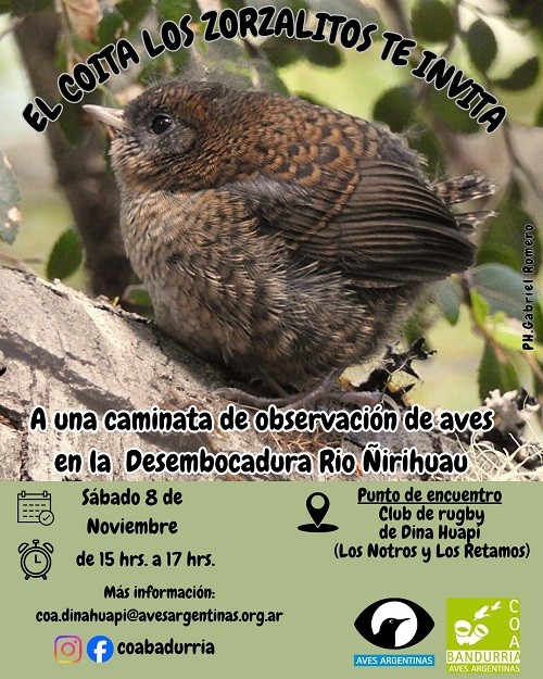 Imperdible salida con los mas chicos (COITA) del COAS Bandurria Dina Huapi.