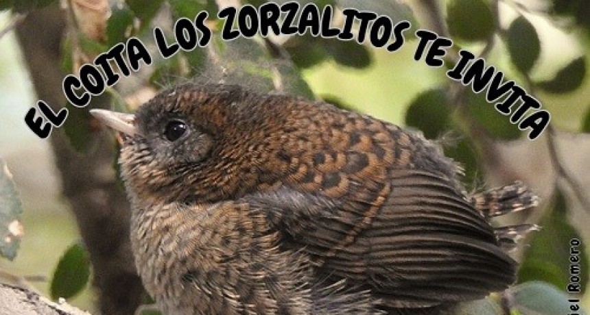 Imperdible salida con los mas chicos (COITA) del COAS Bandurria Dina Huapi.