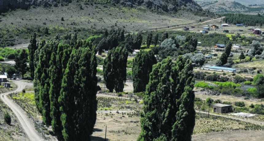 Polémica por lotes sociales en Ñirihuau llegó a Provincia: plantean irregularidades