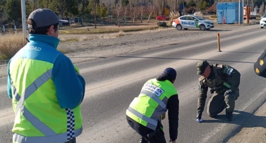 Detectaron coca&iacute;na y una sustancia sint&eacute;tica durante un control vehicular en Dina Huapi